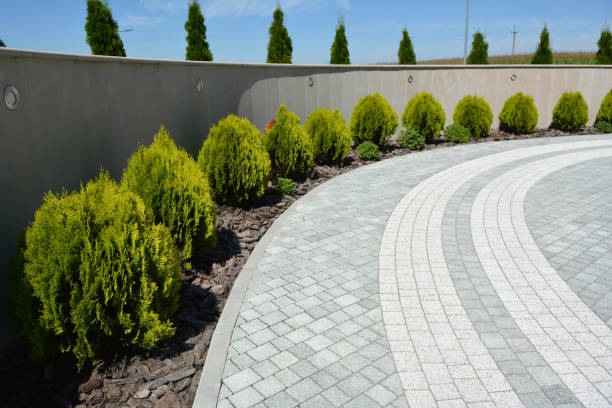 Best Permeable Paver Driveway  in Honey Grove, TX