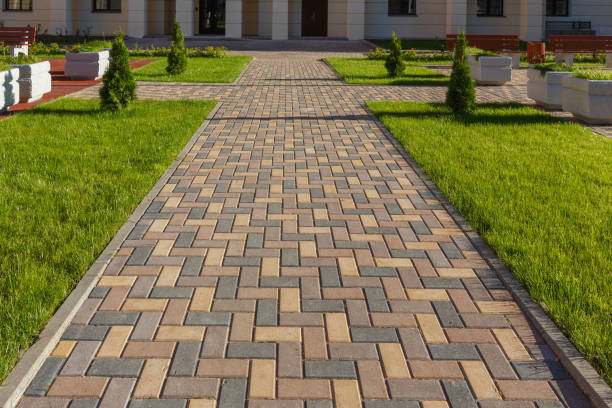 Best Local Driveway Pavers  in Honey Grove, TX